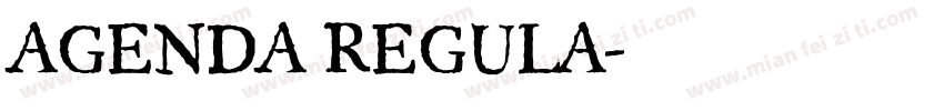 AGENDA REGULA字体转换